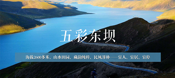 昌都左貢縣東壩鄉區域品牌定位方案