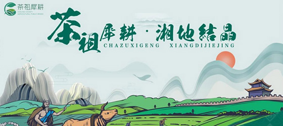 茶陵農業區域品牌培育策劃案