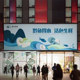 貴州黔魚海報(bào)設(shè)計(jì)